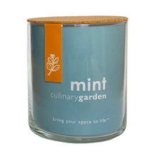 Mint Culinary Garden