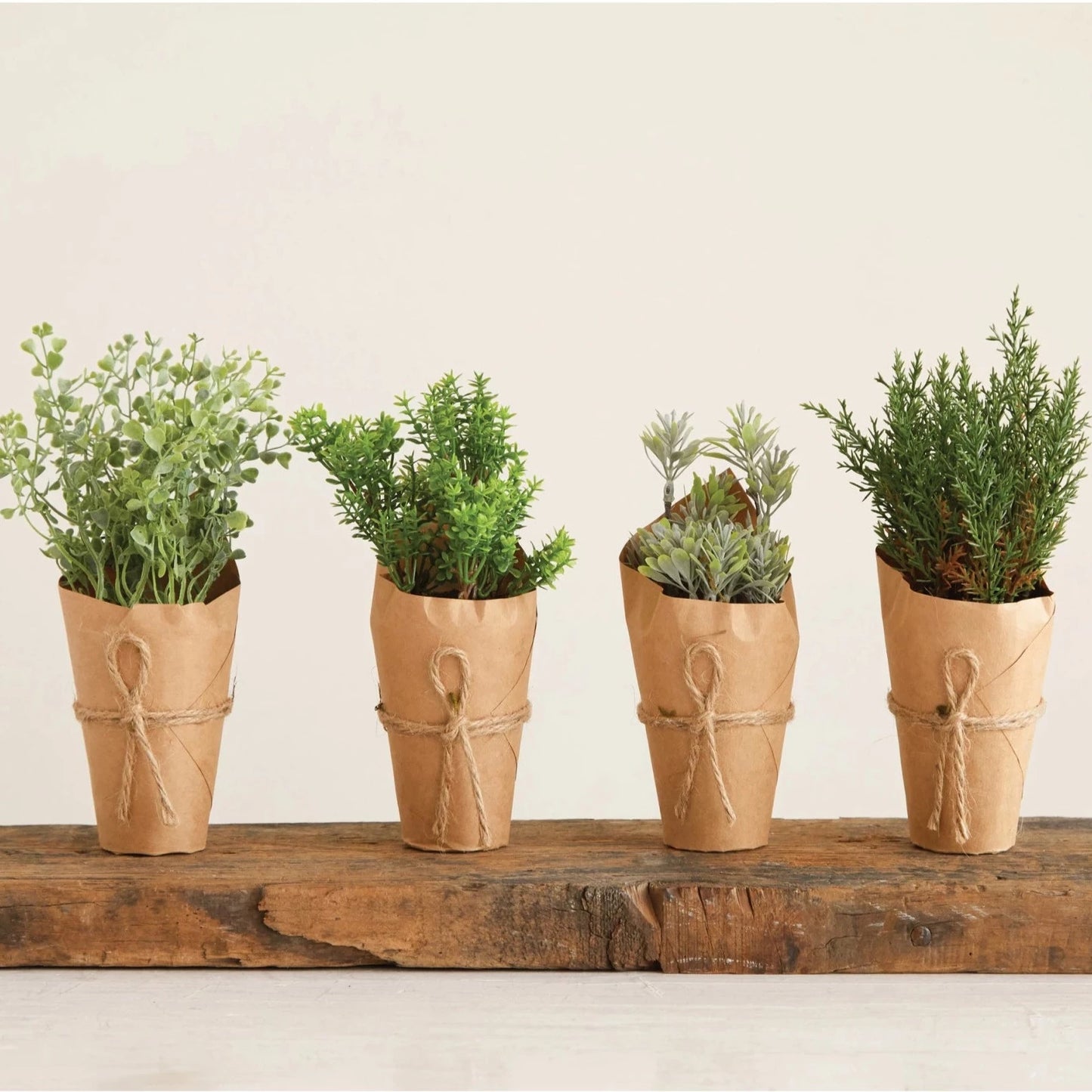Faux Hebe | Paper Pot