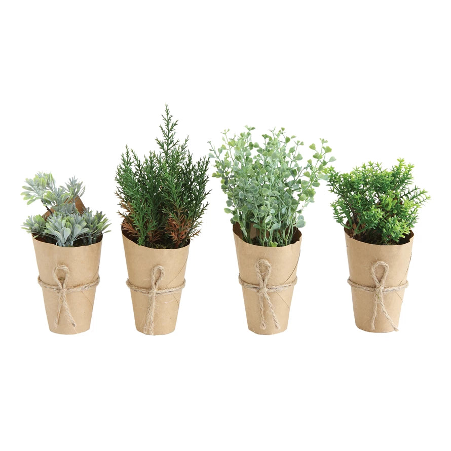 Faux Hebe | Paper Pot