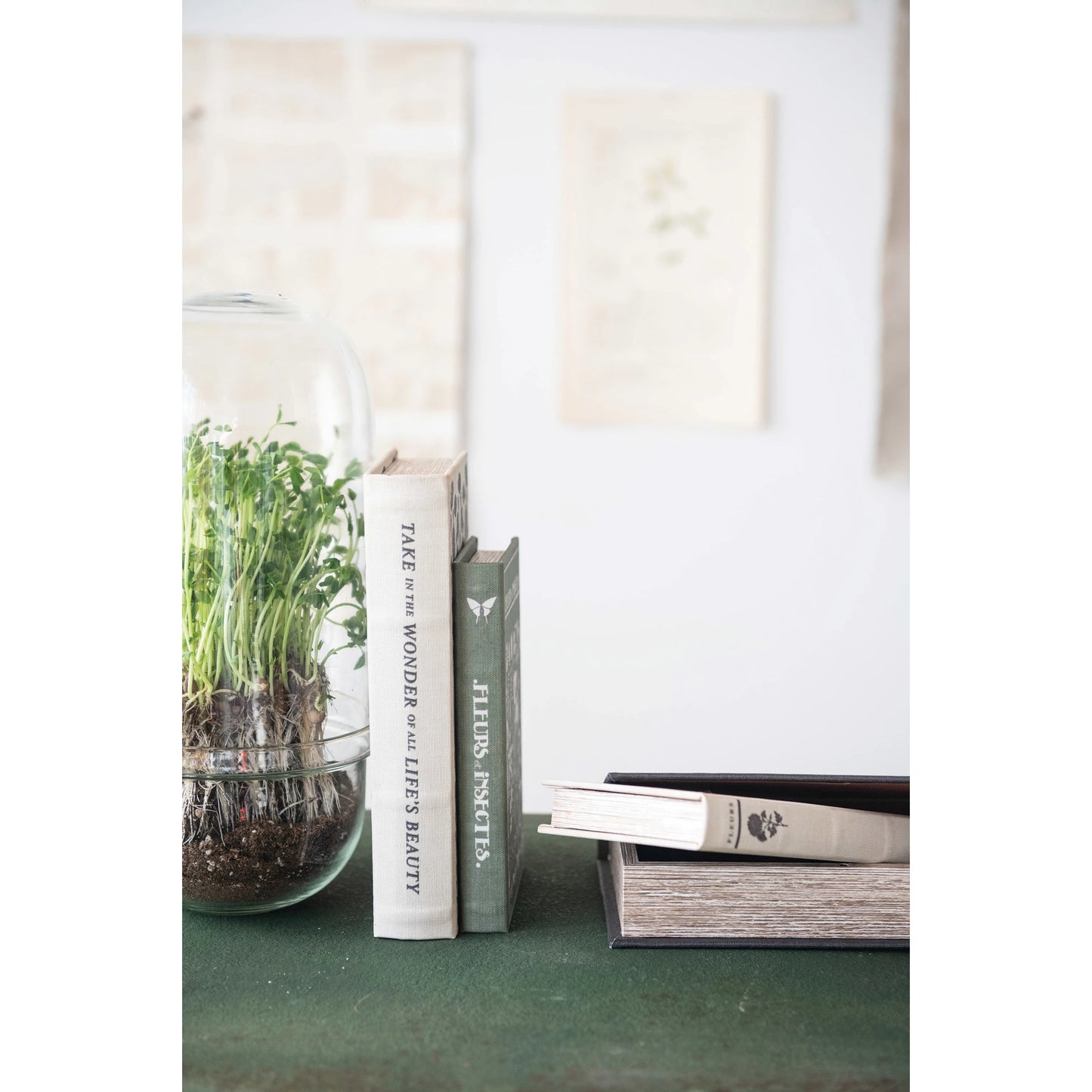 Fleurs et Insectes - Secret Storage Box