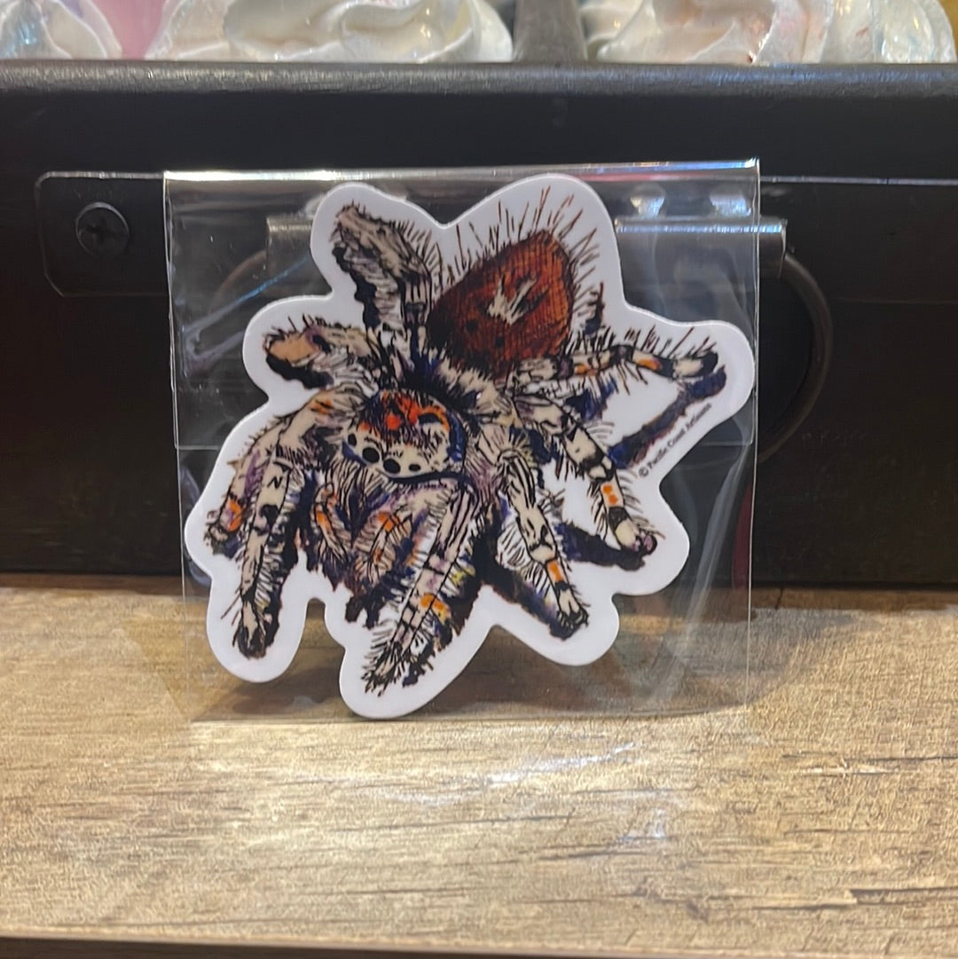 Spider - Sticker
