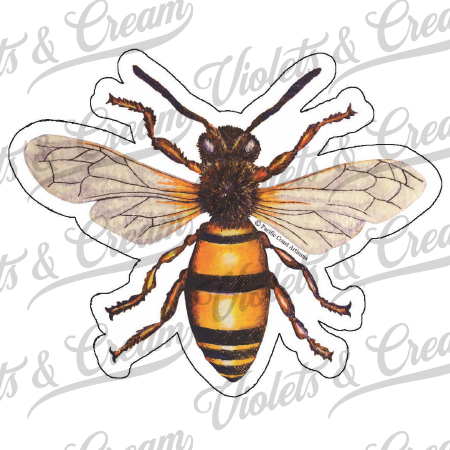Honeybee - Sticker