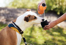 2-in-1 Dog Drinking Bottle Bowl - Slurp and Go - No. 008