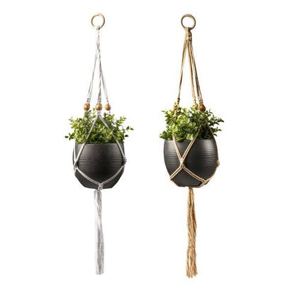 Seed & Sprout Let's Hang Macrame Plant Hanger