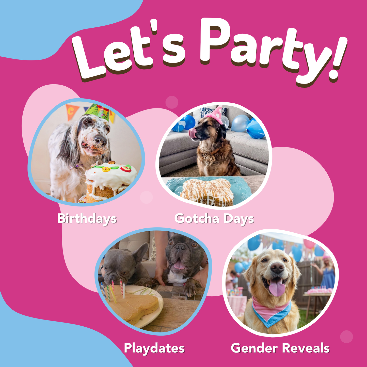 Dog Birthday Cake Kit: Peanut Butter (wheat-free)