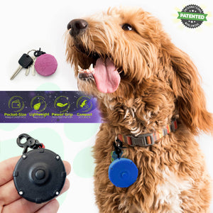 Lazy Leash! -  Mini Power Leash