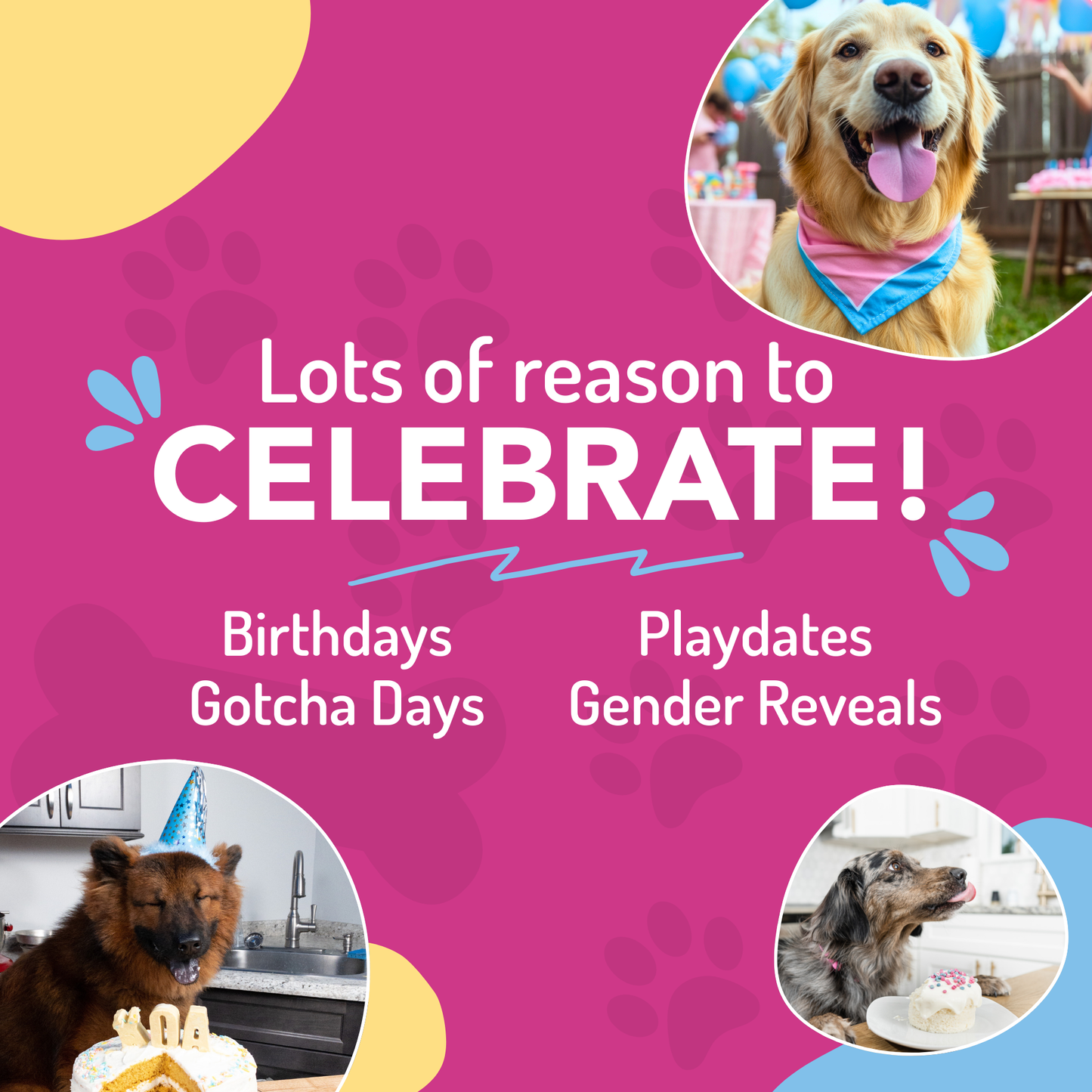 Dog Birthday Cake Kit: Peanut Butter (wheat-free)