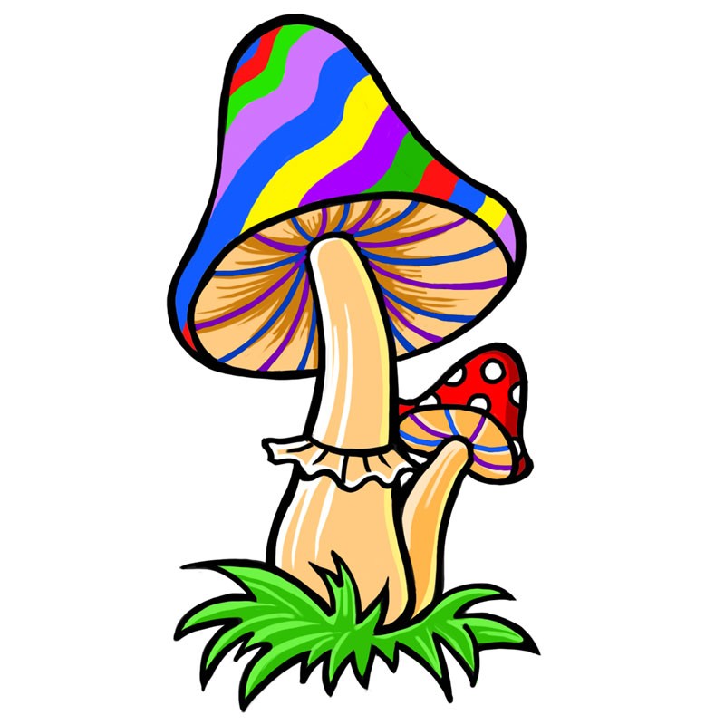 Rainbow Mushroom - Iron On Patch