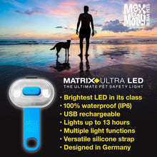 Max & Molly - LED Pet Safety Light - Black