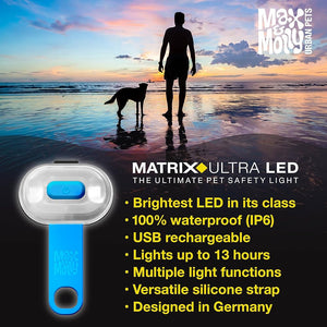 Max & Molly - LED Pet Safety Light - Blue