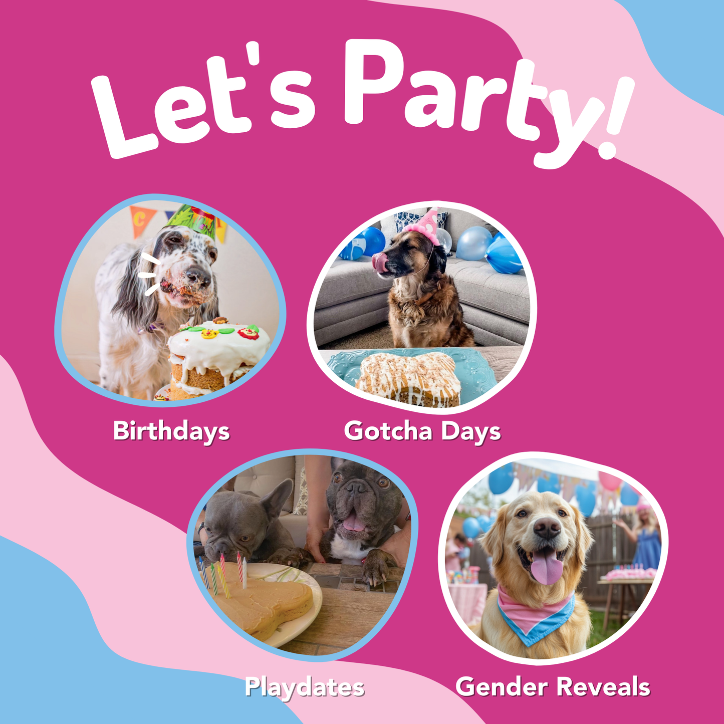 Puppy Cake - Dog Birthday Cake Mixes with Icing - Banana