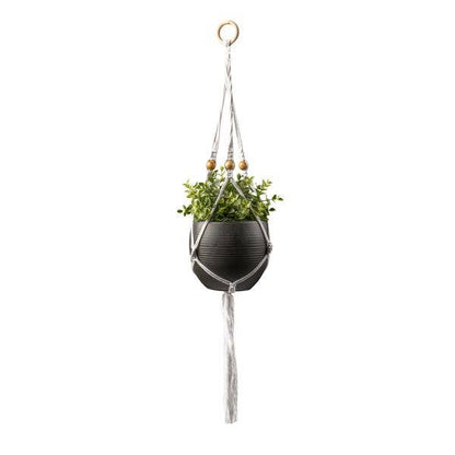 Seed & Sprout Let's Hang Macrame Plant Hanger
