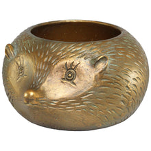 Hedgehog Pot