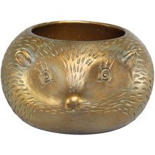 Hedgehog Pot