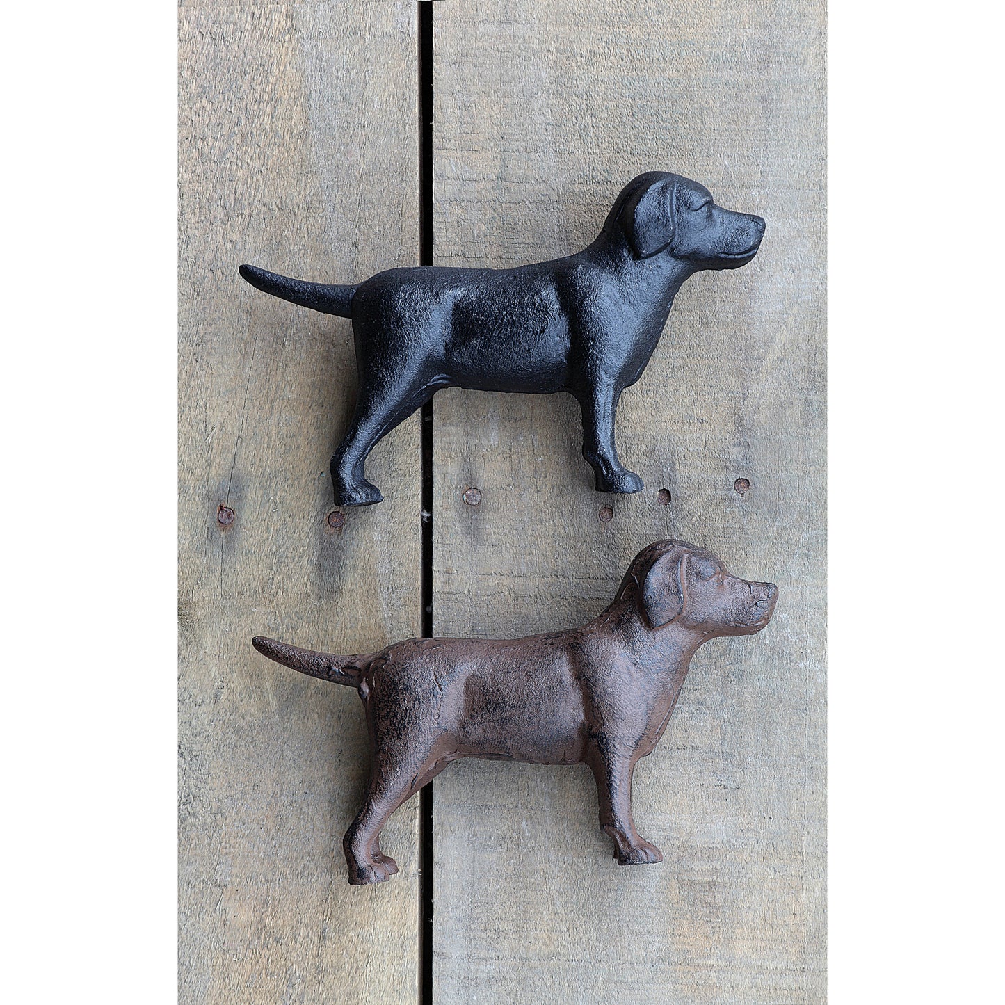 Lab - Cast Iron