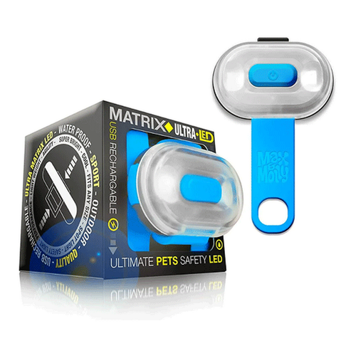 Max & Molly - LED Pet Safety Light - Blue