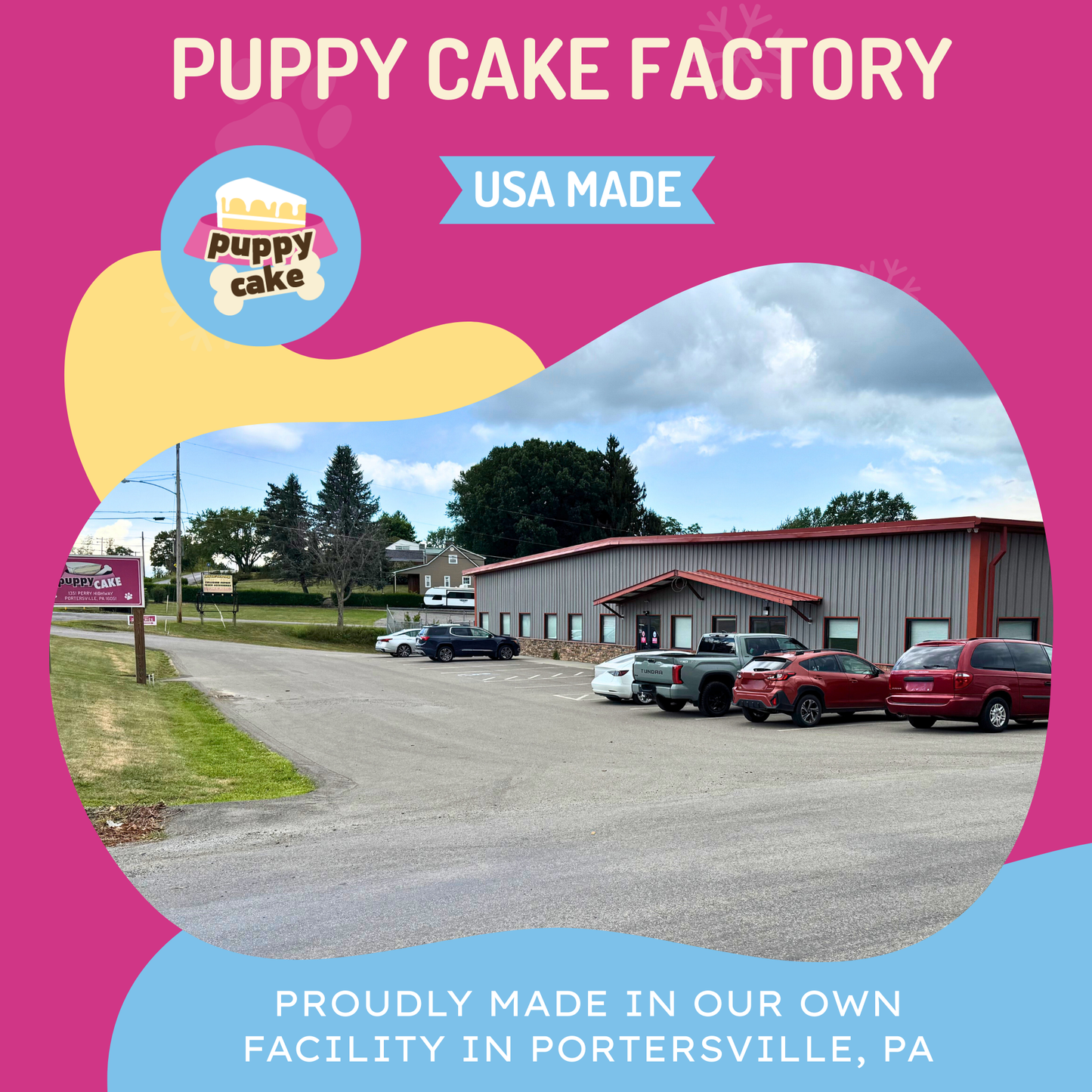 Dog Birthday Cake Kit: Pumpkin (wheat-free)