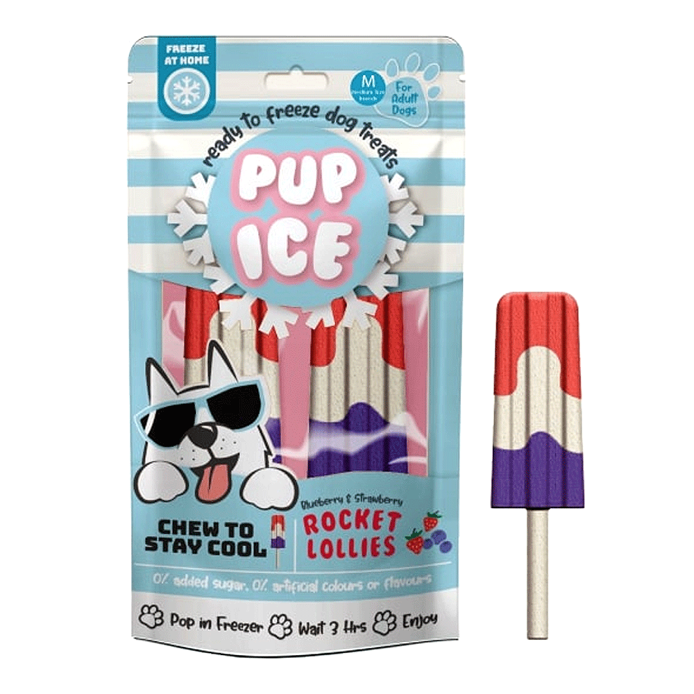 King Wholesale Pet Goods - ETHICAL/SPOT Pup Ice Rocket Lollies Blueberry and Strawberry