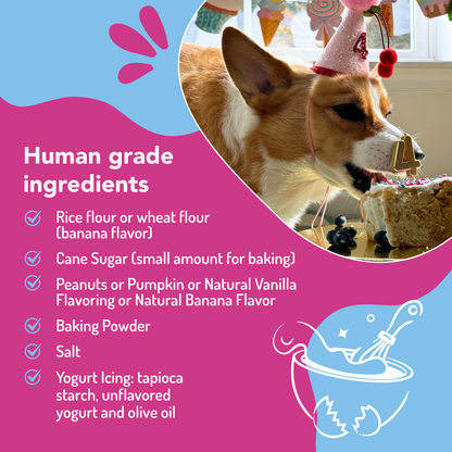 Dog Birthday Cake Kit: Pumpkin (wheat-free)