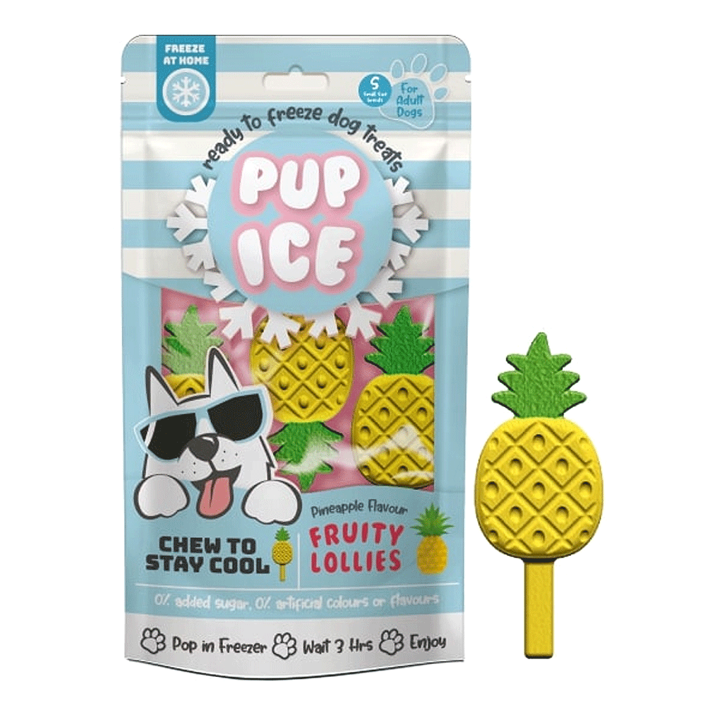 Pup Ice Fruity Lollies - Pineapple