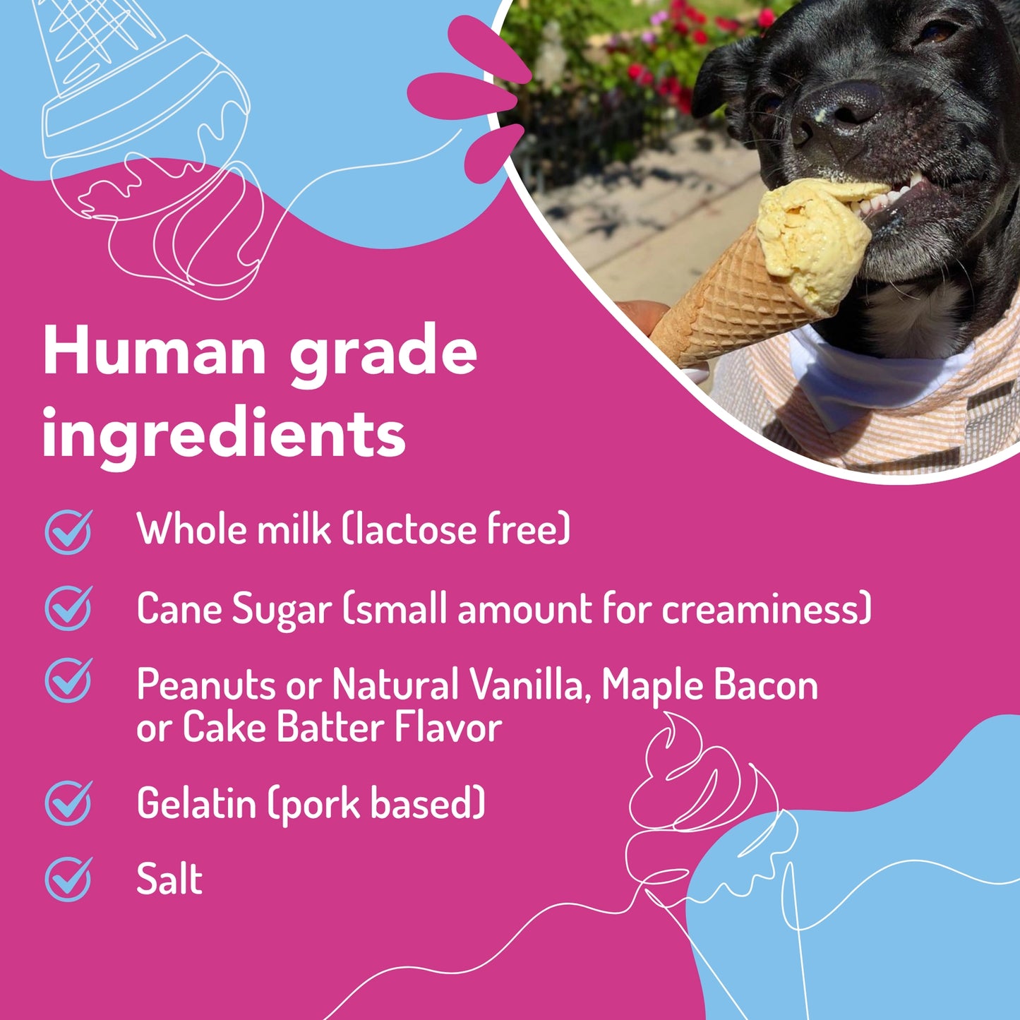 Puppy Scoops Ice Cream Mix - Sample Pack - All 4 Flavors