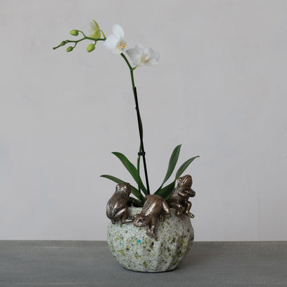 Frog Plant Hanger