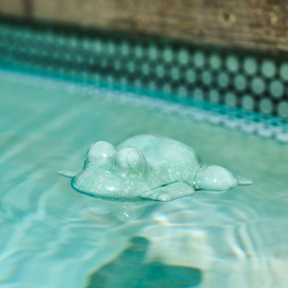 Floating Ceramic Frog