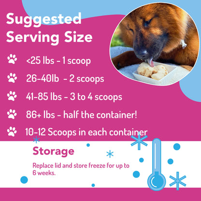 Puppy Scoops Ice Cream Mix - Sample Pack - All 4 Flavors
