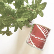 Peppermint Culinary Garden