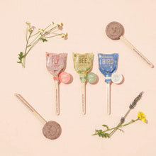 Pollinator Seed Pops - Assorted
