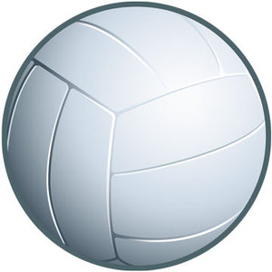 Volleyball - Iron On Patch
