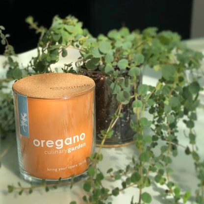 Oregano Culinary Garden