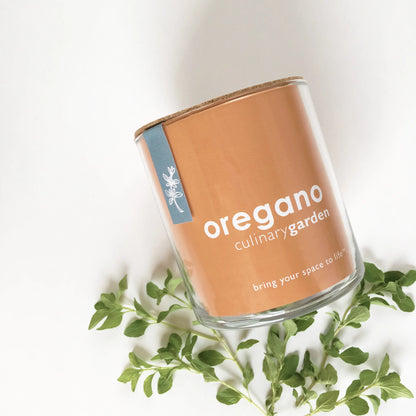 Oregano Culinary Garden