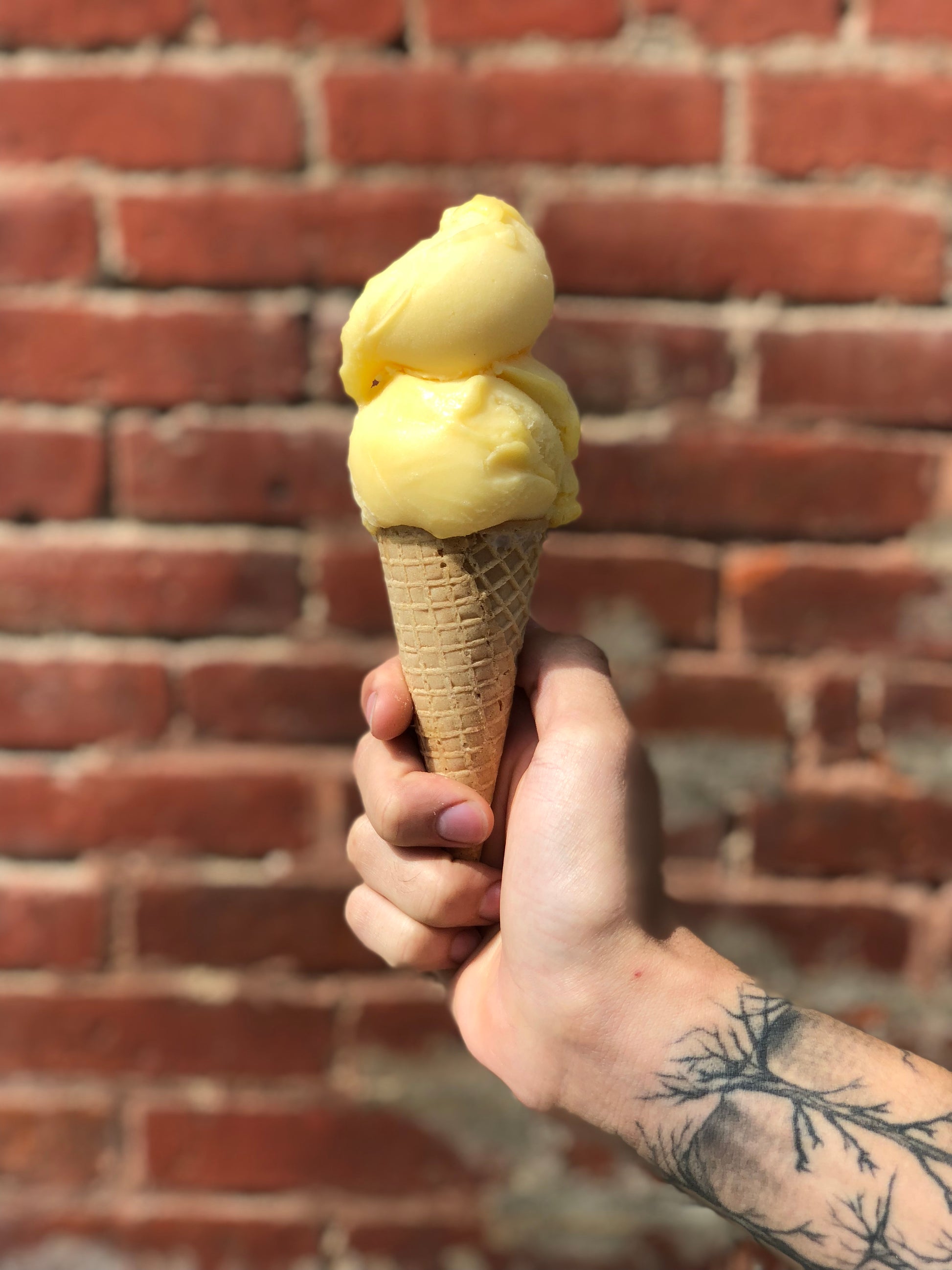 Antartica Mango Sorbet - Ganje’s