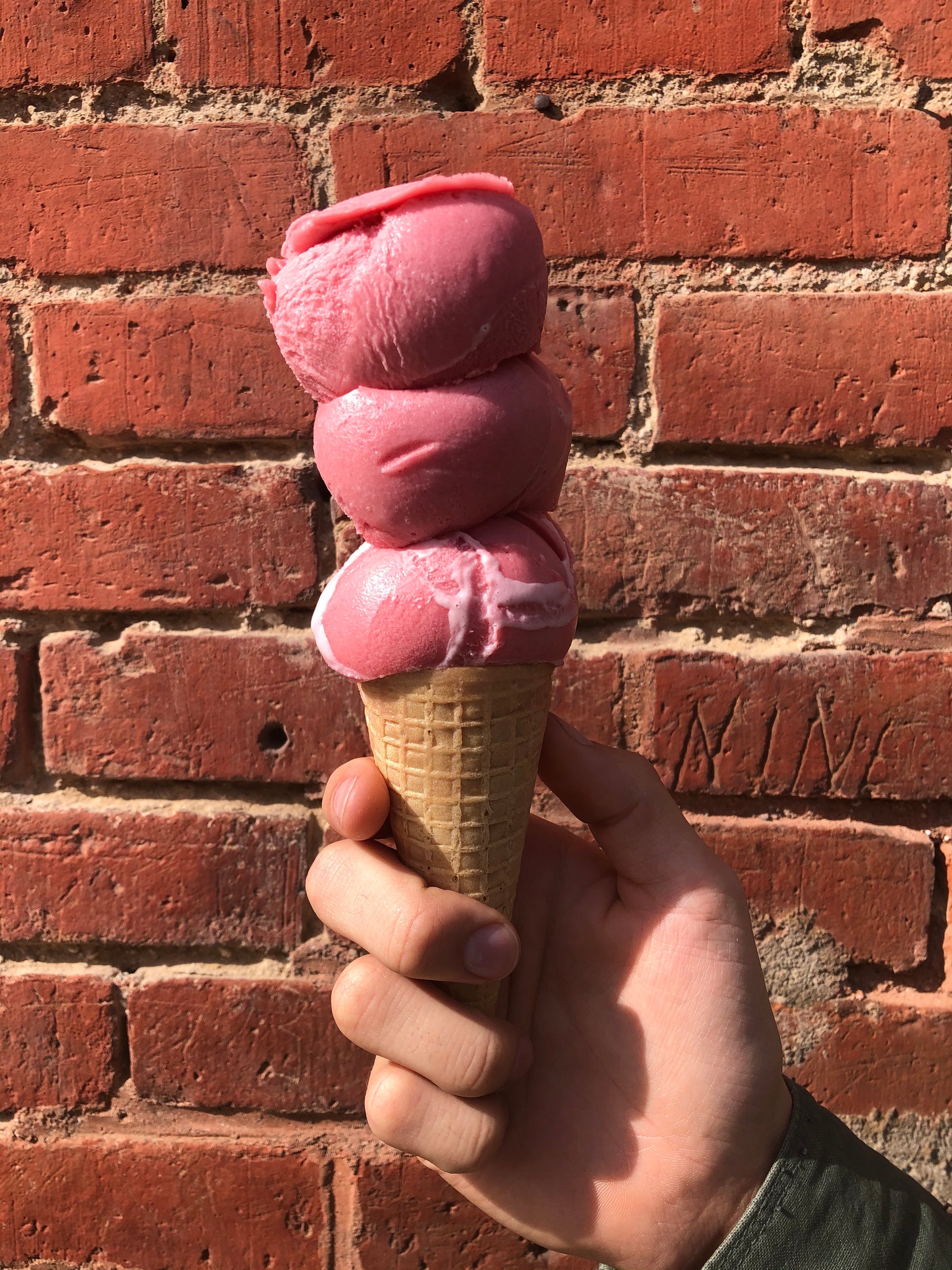 Raspberry Sorbet - Ganje’s
