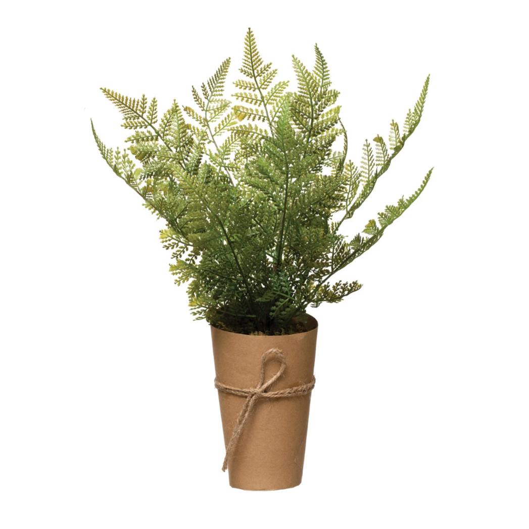 Faux Lace Fern | Paper Pot