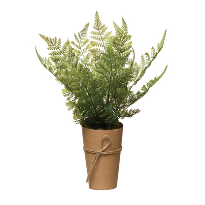Faux Lace Fern | Paper Pot