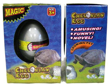Magic Hatching Eggs - Turtle - Ganje’s