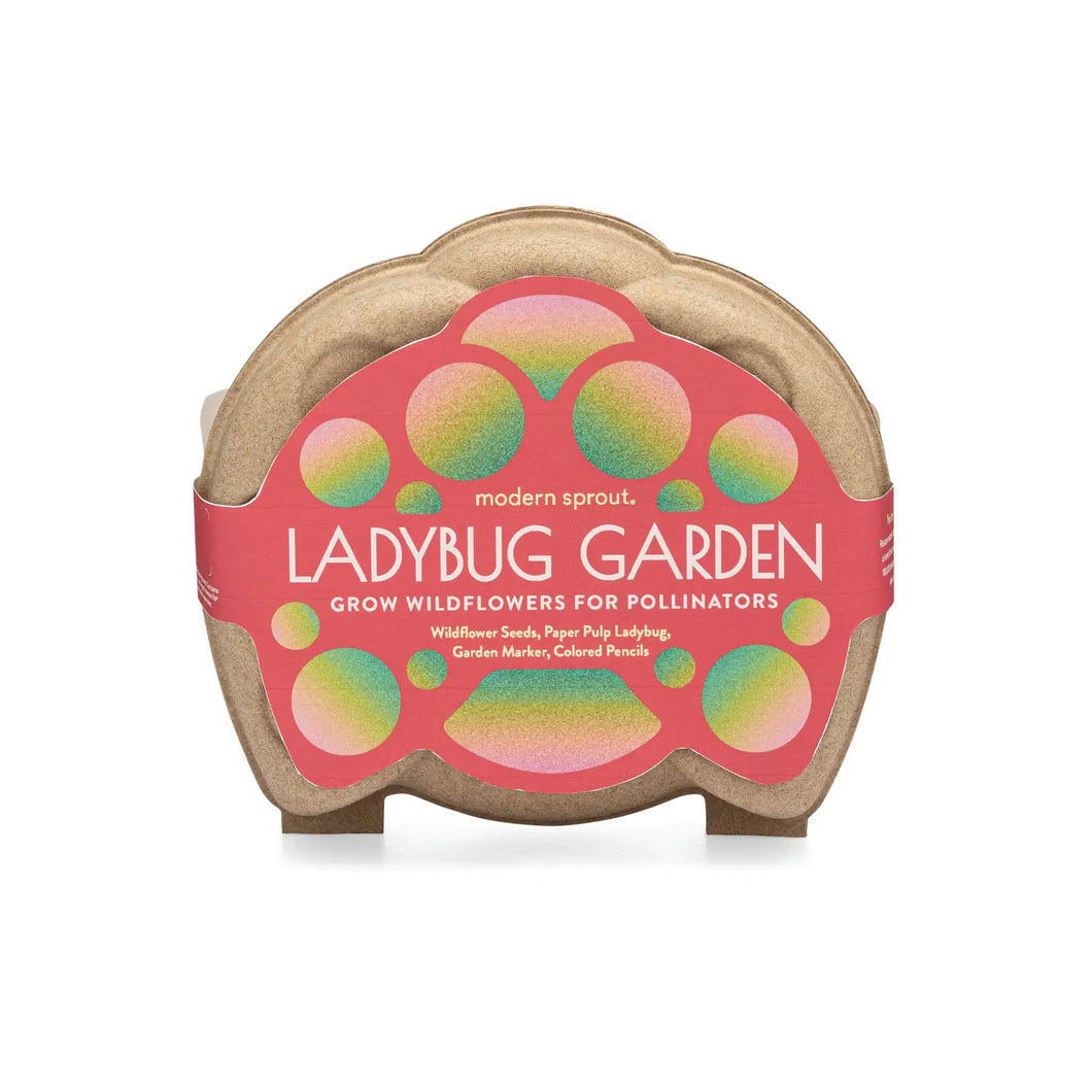 Ladybug Garden - Activity Kit