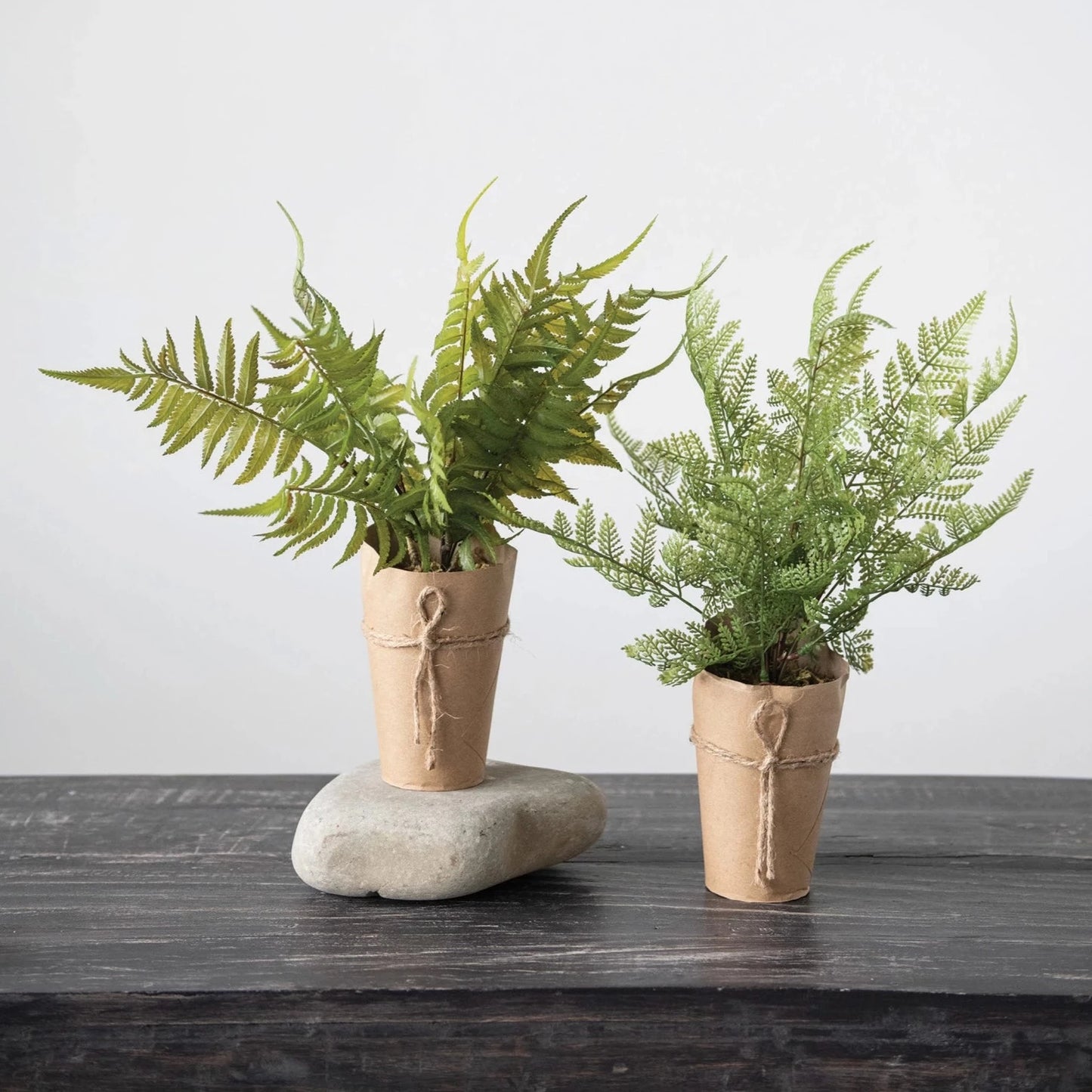 Faux Lace Fern | Paper Pot