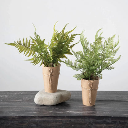 Faux Lace Fern | Paper Pot