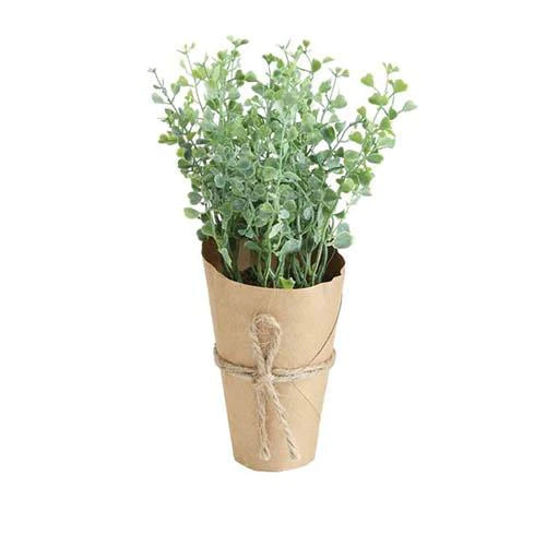 Faux Hebe | Paper Pot