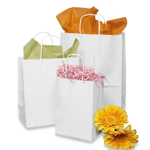 Gift Bag - Assorted Sizes