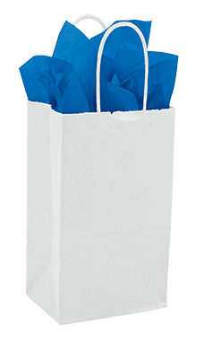 Gift Bag - Assorted Sizes