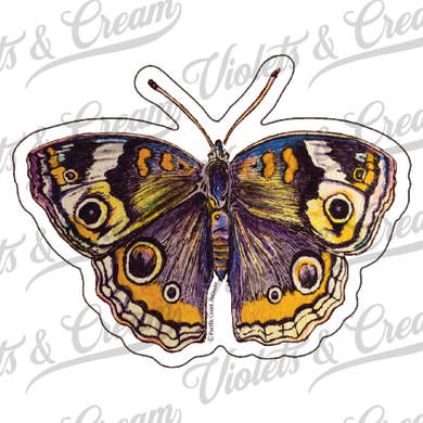 Buckeye Butterfly - Sticker