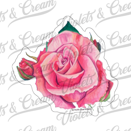 Pink Rose - Sticker