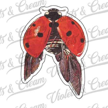 Ladybug - Sticker